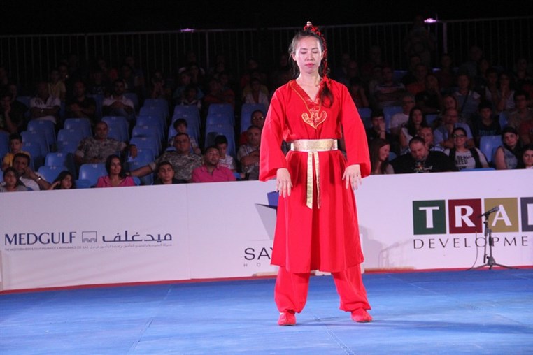 Martial Arts Festival